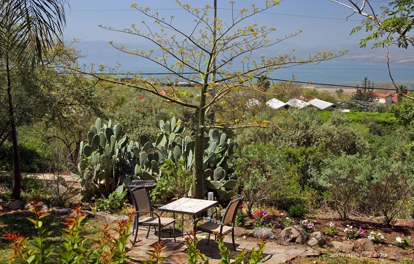 אירוח בשן בגולן - צימרים בגולן - ������ �מעלה גמלא - ������ ����